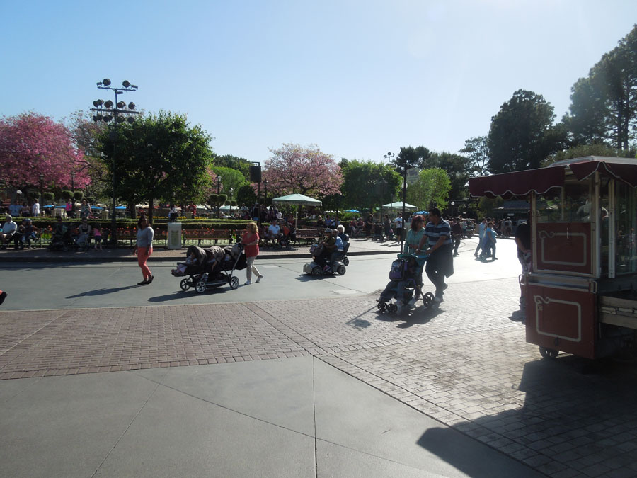 Disneyland Center Circle Picture